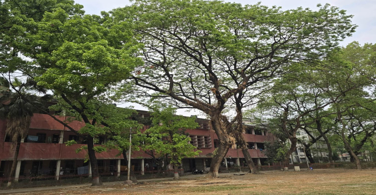 'মুজিববর্ষে বাংলাদেশ-নেপাল সম্পর্ক আরো দৃঢ় হবে'