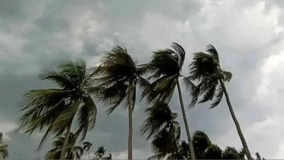 ১০ অঞ্চলে ঝোড়ো হাওয়াসহ বৃষ্টির পূর্বাভাস, নদীবন্দরে সতর্ক সংকেত